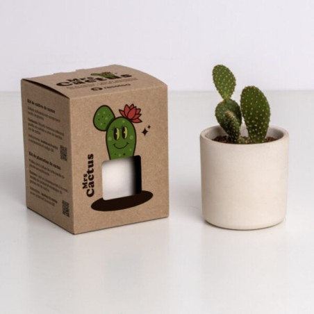 Mrs. Cactus Resetea – Petit kit facile à cultiver
