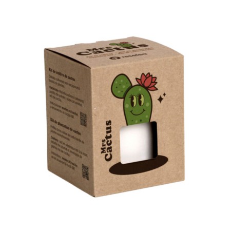 Mrs. Cactus Resetea – Petit kit facile à cultiver