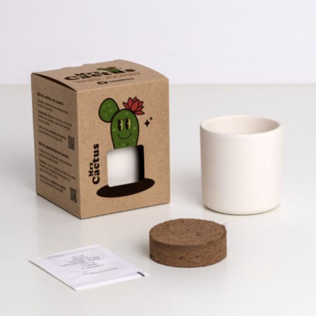 Mrs. Cactus Resetea – Petit kit facile à cultiver