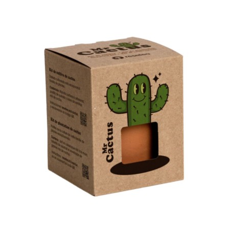 Mr. Cactus Resetea – Petit kit facile à cultiver