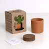 Mr. Cactus Resetea – Petit kit facile à cultiver