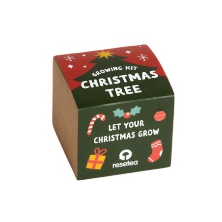 Kit “Christmas Tree” Resetea – Faites pousser votre sapin de Noël chez vous