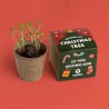Kit “Christmas Tree” Resetea – Faites pousser votre sapin de Noël chez vous