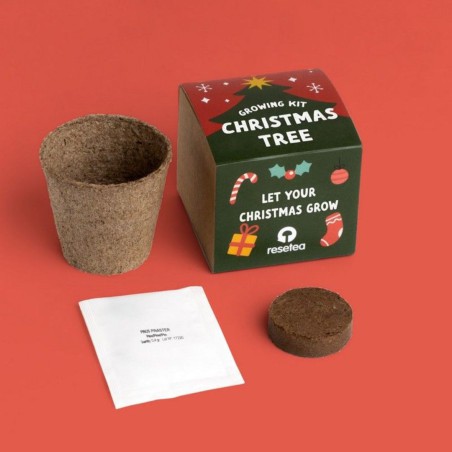 Kit “Christmas Tree” Resetea – Faites pousser votre sapin de Noël chez vous