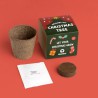 Kit “Christmas Tree” Resetea – Faites pousser votre sapin de Noël chez vous
