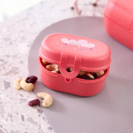 Snackbox enfant Pascal Mini – Boîte goûter durable Koziol