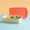 Boîte repas NORA BOX 1,4 L – grande capacité étanche | Koziol