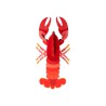 Lobster Studio ROOF – Décoration murale 3D en carton recyclé