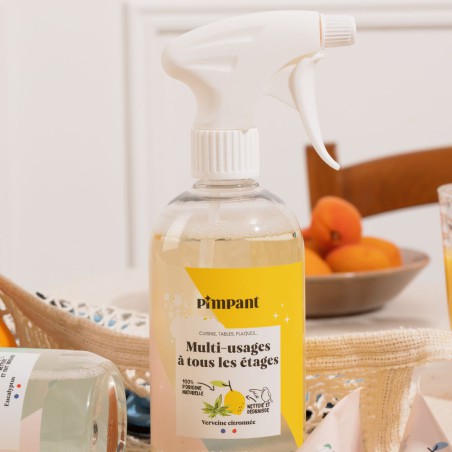 Spray Multi-usage rechargeable - Pimpant