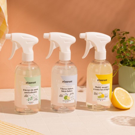 Recharge Spray Vitres - Pimpant