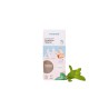 Kit dentifrice naturel menthe Pimpant rechargeable | Lucie in the R