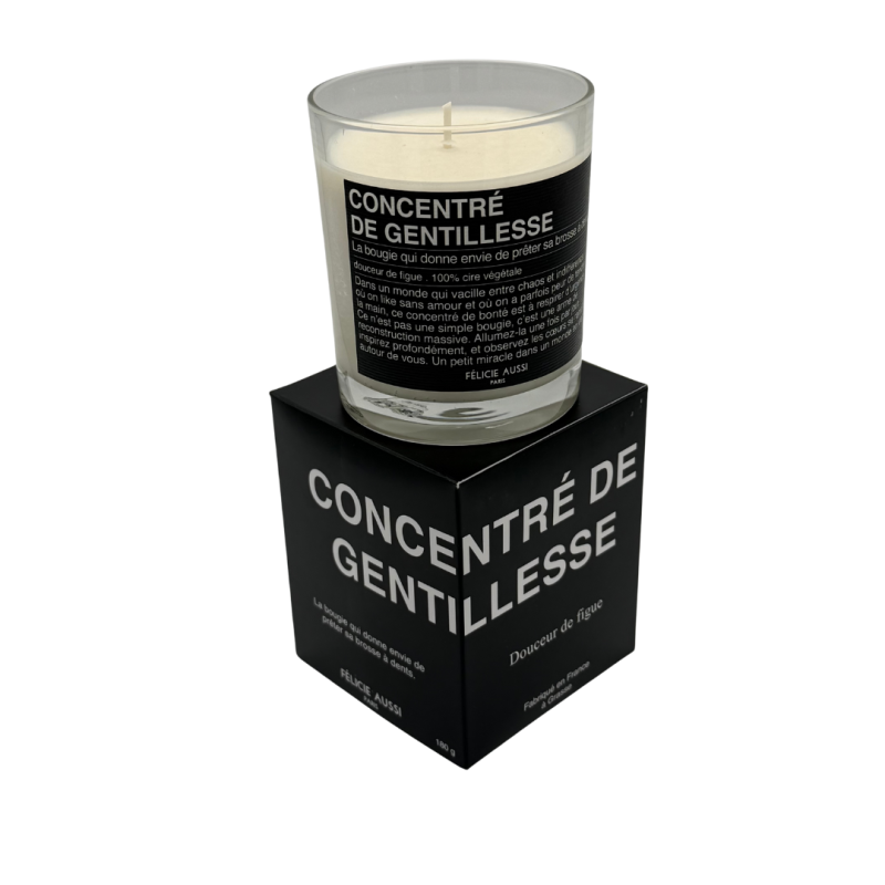 Bougie parfumée artisanale Félicie Aussi – cire végétale, made in France, ambiance chaleureuse
