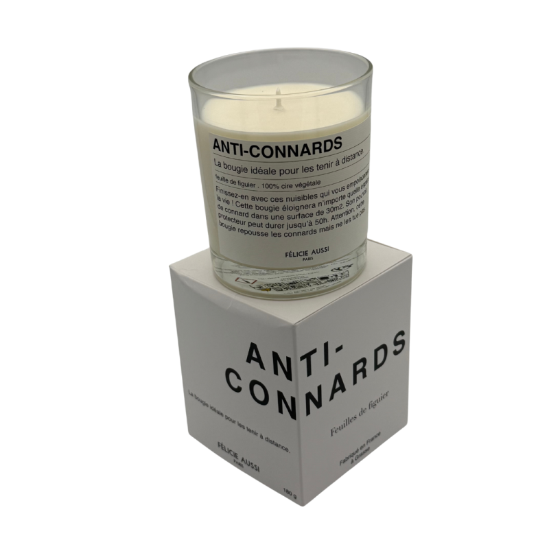 Bougie parfumée artisanale Félicie Aussi – cire végétale, made in France, ambiance chaleureuse