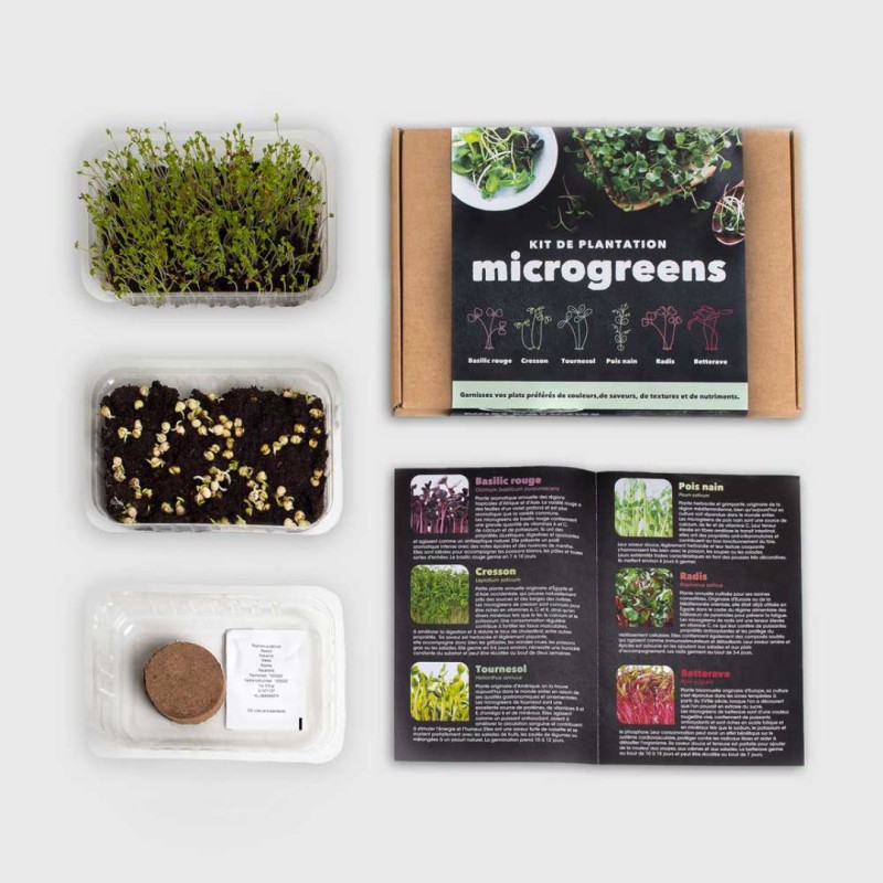 Kit d'autoculture de Microgreens - Resetea