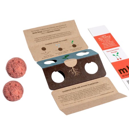 Bombes de biodiversité - Fleurs sylvestres rouges - Resetea