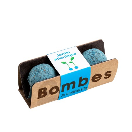 Bombes de biodiversité - Jardin Atlantique - Resetea