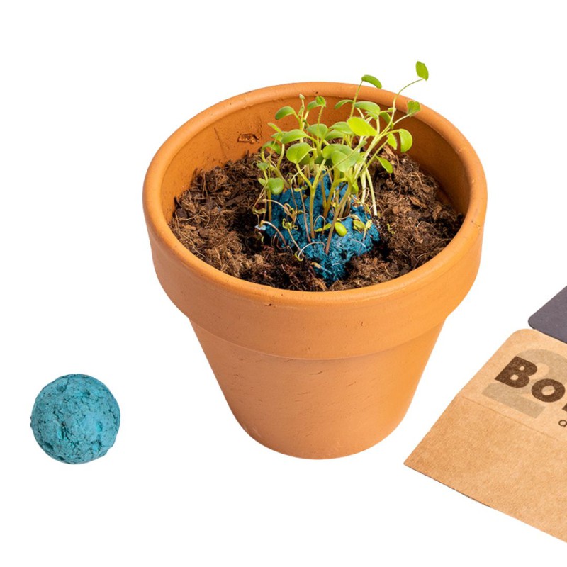 Bombes de biodiversité - Jardin Atlantique - Resetea