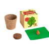 Bonne chance - Kit de culture de trèfle à 4 feuilles - Resetea