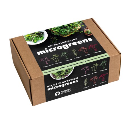 Kit d'autoculture de Microgreens - Resetea