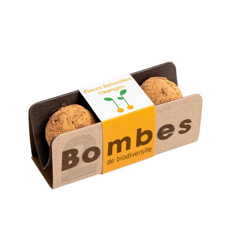 Bombes de biodiversité - Fleurs sylvestres oranges - Resetea