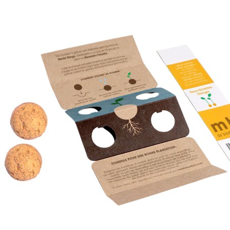 Bombes de biodiversité - Fleurs sylvestres oranges - Resetea