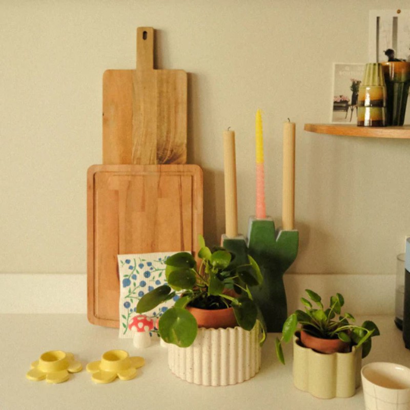 Paula – Pot autonome auto-arrosant pour petites plantes – Pépin