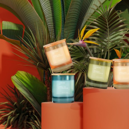 Bougies de Olphactory – Détente et sérénité naturelles - Thé Vert & Citronelle