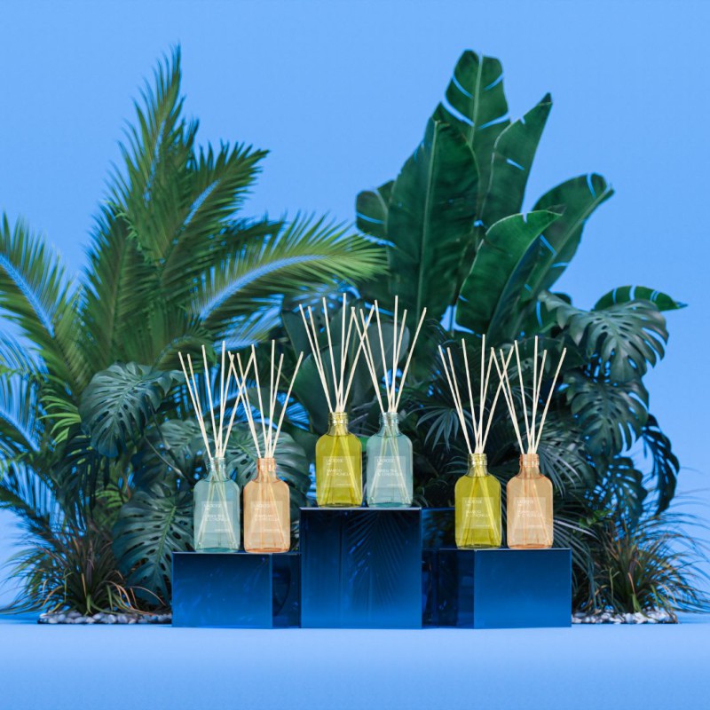 Diffuseur de parfum The Olphactory – Complete Diffuser | Lucie in the R - Pomplemo & Citronella