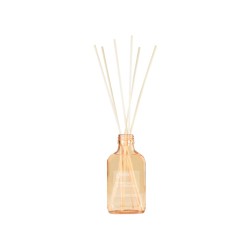 Diffuseur de parfum The Olphactory – Complete Diffuser | Lucie in the R - Pomplemo & Citronella