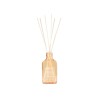 Diffuseur de parfum The Olphactory – Complete Diffuser | Lucie in the R - Pomplemo & Citronella