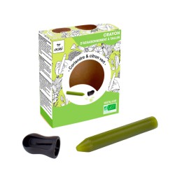 Crayon comestible Coriandre et Citron vert OCNI Factory — condiment à tailler | Lucie in the R