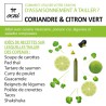 Crayon comestible Coriandre et Citron vert OCNI Factory — condiment à tailler | Lucie in the R