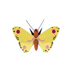 Décoration murale 3D – Studio ROOF | Carton recyclé & designs poétiques\n\n