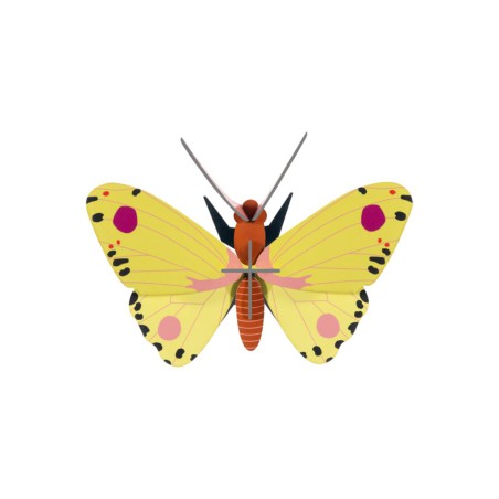 Décoration murale 3D – Studio ROOF | Carton recyclé & designs poétiques\n\n