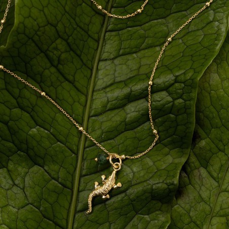 Colliers Animal Icons A Beautiful Story | Lucie in the R