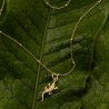 Colliers Animal Icons A Beautiful Story | Lucie in the R