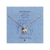 Colliers Animal Icons A Beautiful Story | Lucie in the R