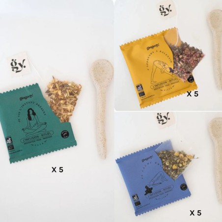 Coffret tisanes bio Routine Gingerly | Lucie in the R
