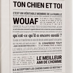 Affiche message – Tout est Dit (sans cadre) | déco murale originale