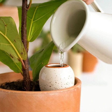 Olla Pépin – Arrosage naturel plantes d’intérieur