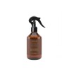 Spray parfum d’intérieur 250 ml Cerería Mollá | Lucie in the R