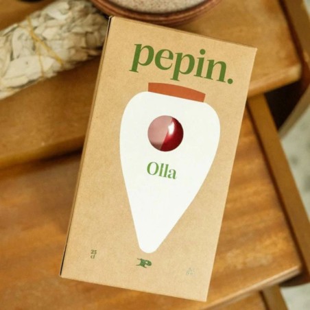 Olla Pépin – Arrosage naturel plantes d’intérieur