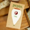 Olla Pépin – Arrosage naturel plantes d’intérieur