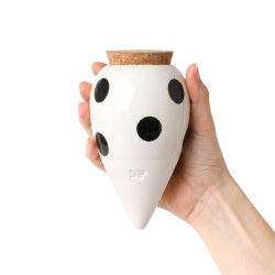 Olla Pépin – Arrosage naturel plantes d’intérieur